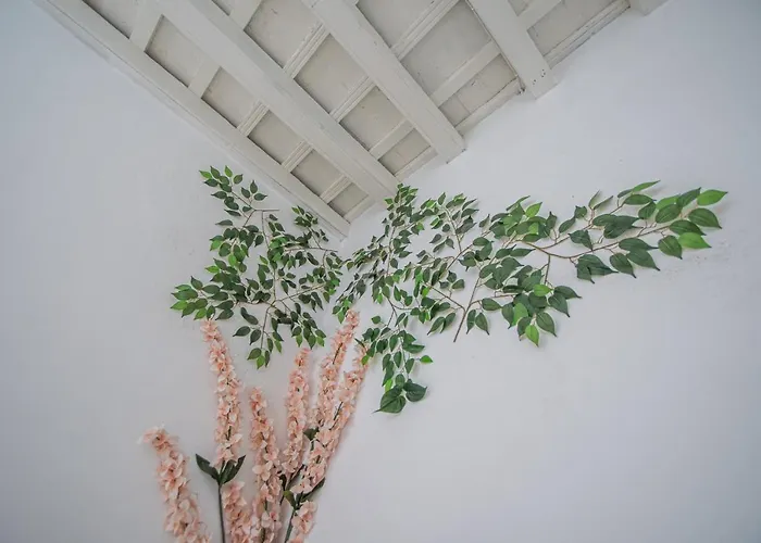 아파트 El Cobijo De